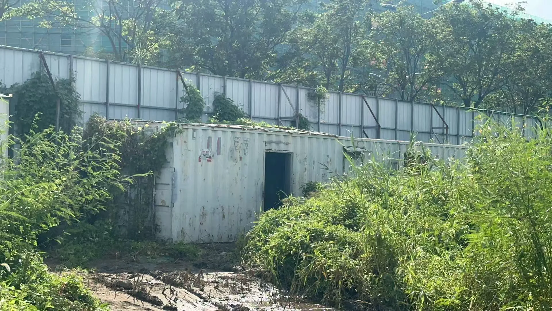 万盈镇废旧箱式变压器回收